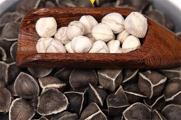 辣木籽可以空腹吃吗 辣木籽哺乳期能吃吗 辣木籽可以空腹吃吗 辣木籽哺乳期能吃吗