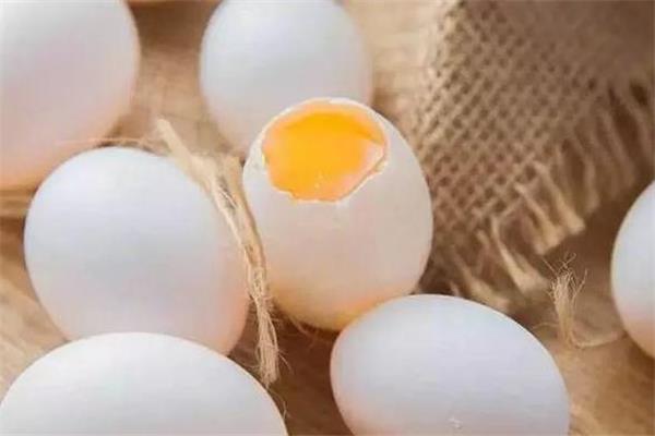 鸽子蛋晚上吃可以吗 不要吃太多