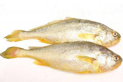 ​黄花鱼可以冷冻储存吗 黄花鱼怎么保鲜时间长