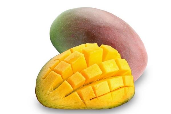 凯特芒果为什么这么大 品种原因