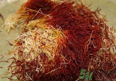 熬夜的人可以喝藏红花吗?晚上熬夜能喝藏红花吗