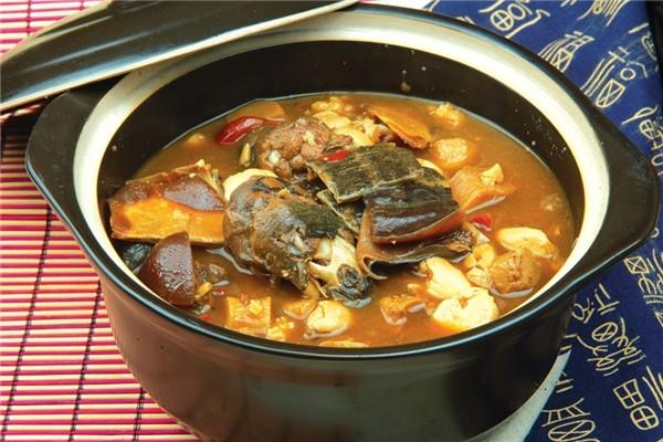 甲鱼有胶原蛋白吗 甲鱼有什么营养和功效