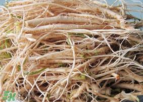 荠菜根怎么吃?荠菜根的吃法 荠菜根怎么吃?荠菜根的吃法