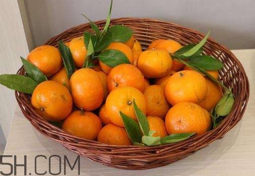 沃柑苗多少钱一株?沃柑为何叫晚熟大王 沃柑苗多少钱一株?沃柑为何叫晚熟大王