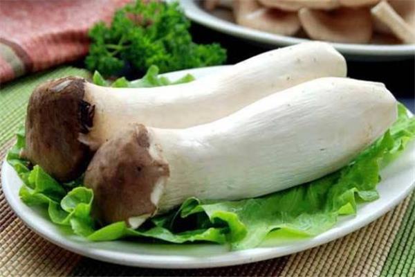 杏鲍菇怎么焯水 杏鲍菇不焯水有毒吗