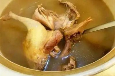 ​乳鸽汤用什么煲汤最好喝 乳鸽汤要煲多久