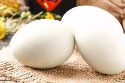 ​煮熟的鹅蛋蛋清发黑是怎么回事 鹅蛋是冷水下锅还是热水
