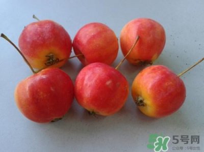 ​产妇能吃沙果吗?产妇吃沙果好吗