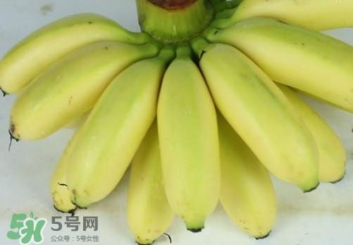 帝王蕉和皇帝蕉有区别吗？帝王蕉和普通香蕉区别