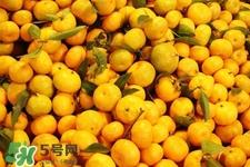 冰糖橘和砂糖橘哪个好吃?冰糖橘和砂糖橘的区别? 冰糖橘和砂糖橘哪个好吃?冰糖橘和砂糖橘的区别?