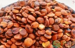 酸枣仁可以长期服用吗?酸枣仁能长期吃吗?