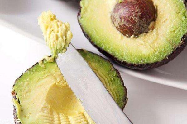 牛油果产自哪些地区呢 牛油果价格是多少呢