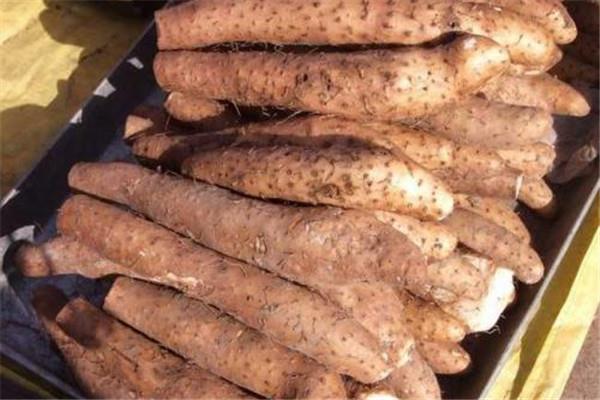 山药和淮山有什么区别 什么是淮山