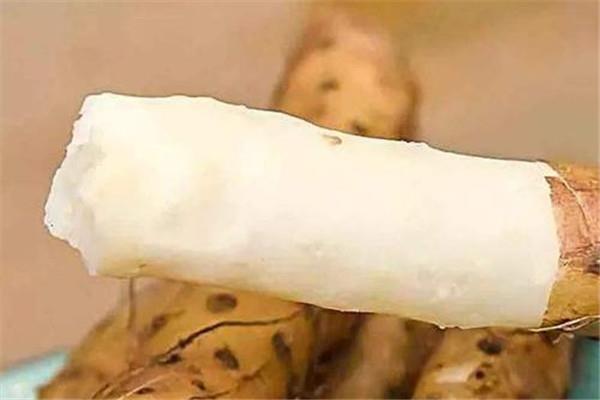 山药和淮山有什么区别 什么是淮山