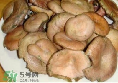 ​枞树菌孕妇可以吃吗？孕妇能吃枞树菌吗