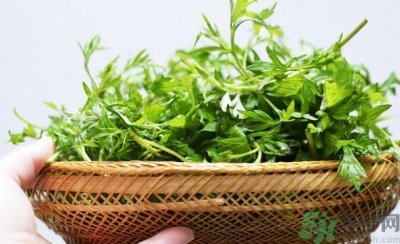 ​菖蒲是艾叶吗？菖蒲是什么？