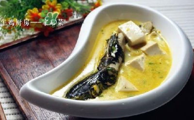 ​黄刺鱼是发物吗？黄刺鱼是黄辣丁吗