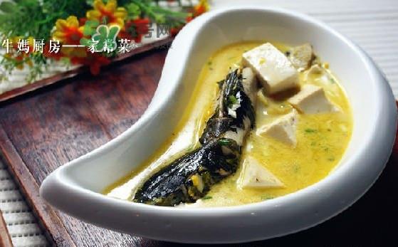 黄刺鱼是发物吗？黄刺鱼是黄辣丁吗