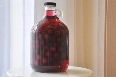 ​杨梅酒可以减肥吗 减肥期间可以喝杨梅酒吗