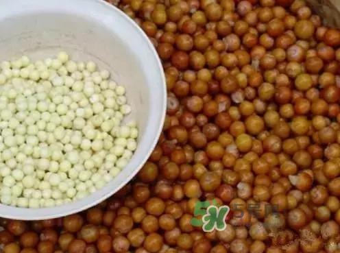 鸡头米什么时候上市？鸡头米什么时候最好吃