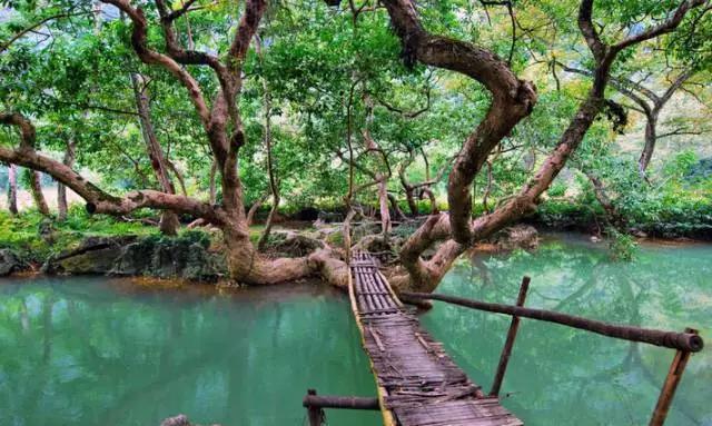 为什么广西“三月三”放假4天？看完秒懂