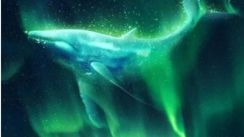 电影《南极之恋》里面那些击中心灵台词,哲理又治愈