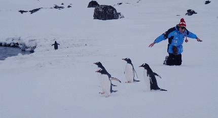 电影《南极之恋》里面那些击中心灵台词,哲理又治愈