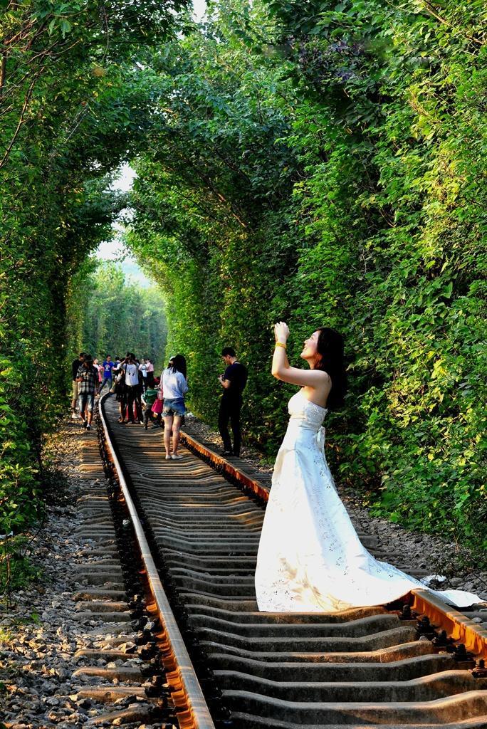 世界网红景点“爱情隧道”,原来在我国也有一条,却一直不知道!