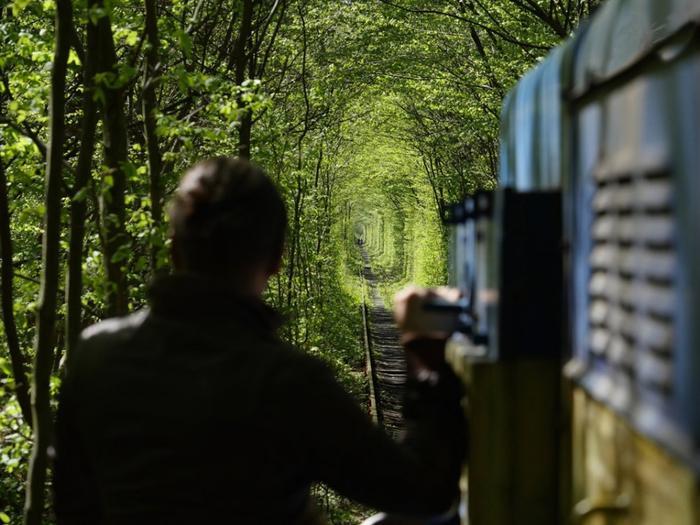 世界网红景点“爱情隧道”,原来在我国也有一条,却一直不知道!