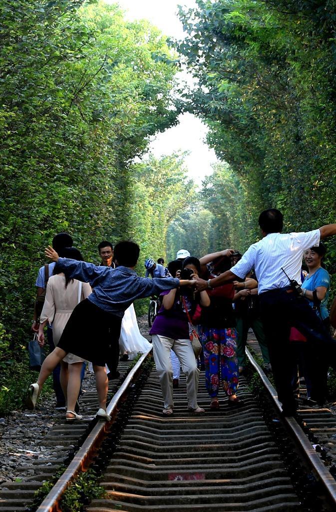 世界网红景点“爱情隧道”,原来在我国也有一条,却一直不知道!