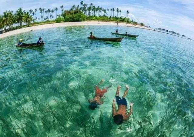 世界最后一支海洋游牧民族,能在水里行走,进化出不一样的身体