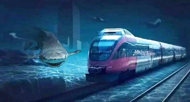 中国“震撼”的5条海底隧道，一个世界级，造价720亿元可用120年