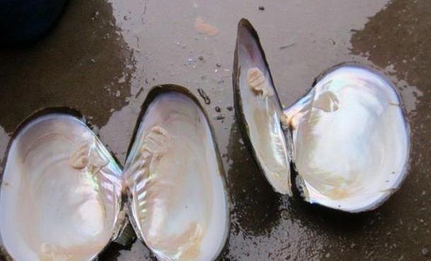 农村里的一些迷信,关于鬼神之说你们相信吗?反正我信!