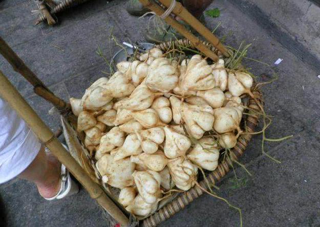 农村人用它炒菜，城里人把它当水果，营养价值极高，还能降血压