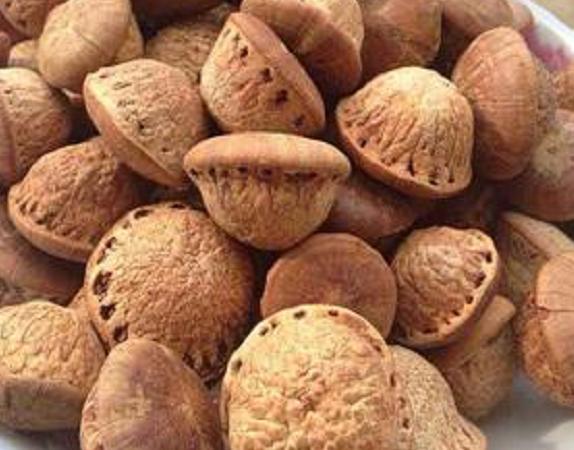 农村山上的野果厚鳞柯,城里人没见过,如今市面上卖60元一斤