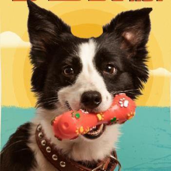 《动物管理局》结局了,第二季播出,还有4大悬念待解