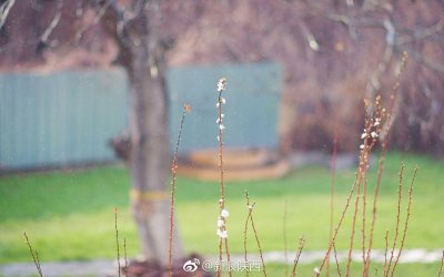 说一句带“雨”的歌词