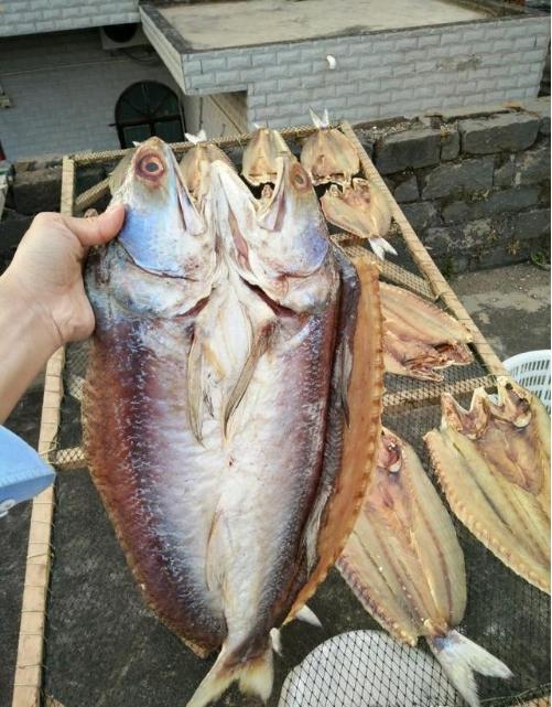 它是排名第一好吃的海鱼,鱼肉似“千层糕”,很多人没吃过真亏