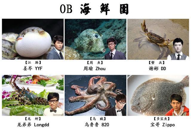 斗鱼dota2再来大将!顶级主播、解说zippo宝哥入驻斗鱼