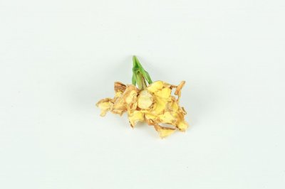 栀子花给水的正确方法,栀子花可以浇啤酒吗