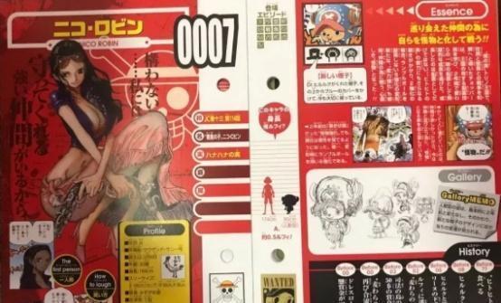 海贼王娜美和罗宾身材有多好官方公布数据,一个字母过于亮眼