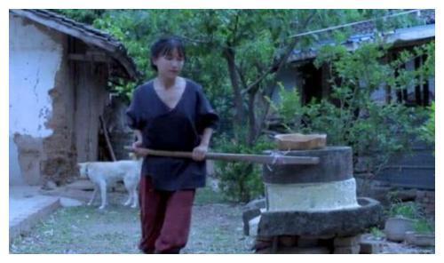 李子柒院子真容曝光,关掉滤镜之后,仙境变成了现实