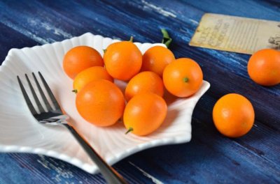 金桔什么时候施肥