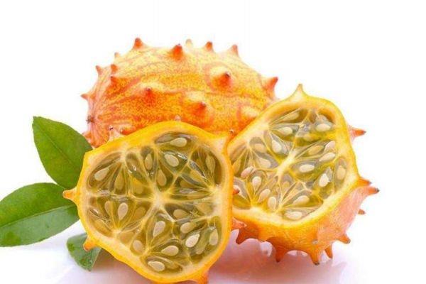 刺角瓜的营养价值有什么呢 吃刺角瓜有什么好处呢 刺角瓜的营养价值有什么呢 吃刺角瓜有什么好处呢