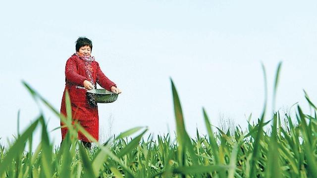 河南人为什么被全国骂顺口溜侮辱人