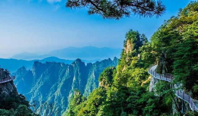 河南人为什么被全国骂顺口溜侮辱人