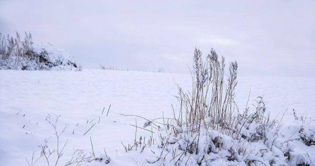 “三九四九,冻死鸡狗”,老农为何说三九最冷?20年春节冷不冷
