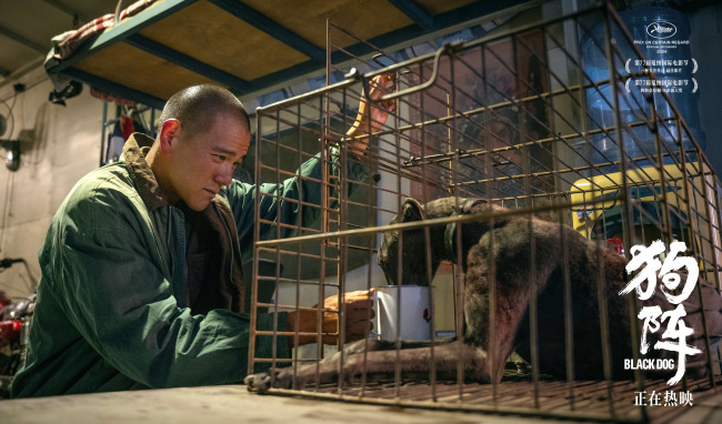 口碑佳作热映！管虎戛纳双奖电影《狗阵》好评不断