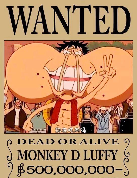 海贼王：路飞15张五亿悬赏图，看完之后笑喷！