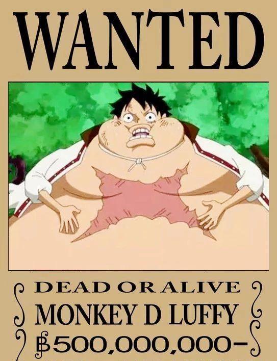 海贼王：路飞15张五亿悬赏图，看完之后笑喷！